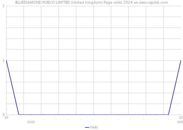 BLUEDIAMOND PUBCO LIMITED (United Kingdom) Page visits 2024 