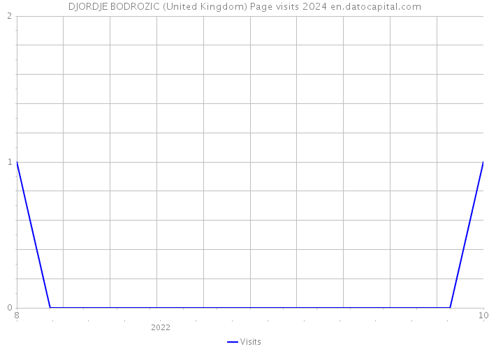 DJORDJE BODROZIC (United Kingdom) Page visits 2024 