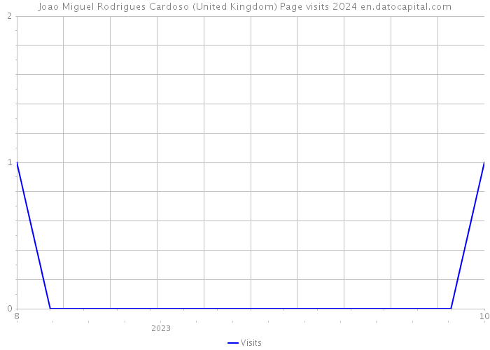 Joao Miguel Rodrigues Cardoso (United Kingdom) Page visits 2024 