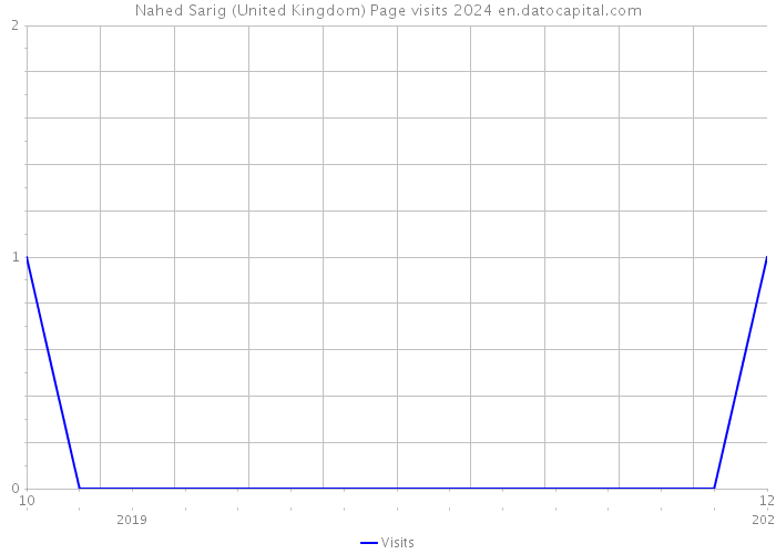Nahed Sarig (United Kingdom) Page visits 2024 