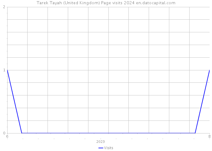 Tarek Tayah (United Kingdom) Page visits 2024 