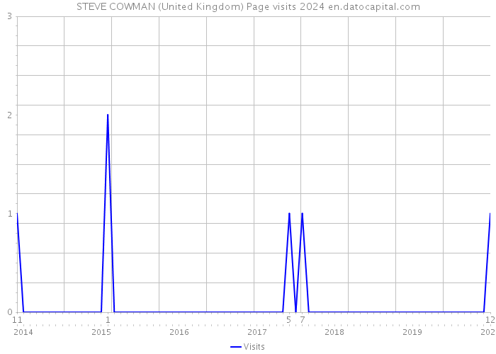 STEVE COWMAN (United Kingdom) Page visits 2024 