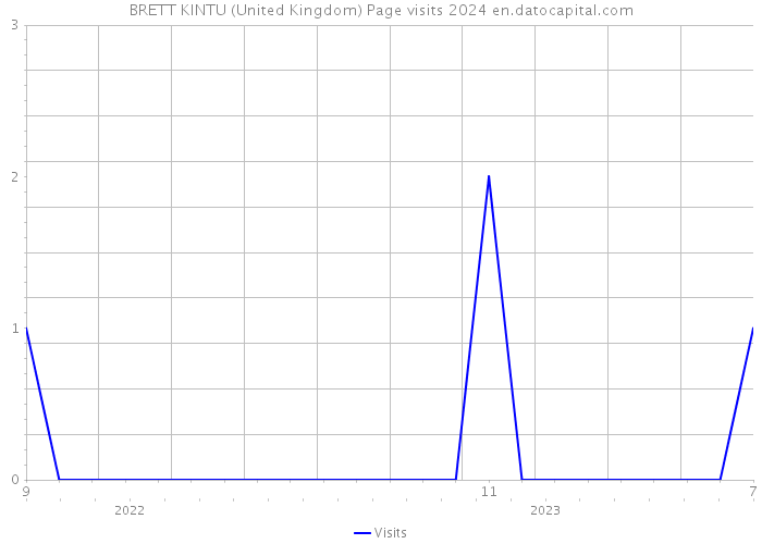 BRETT KINTU (United Kingdom) Page visits 2024 