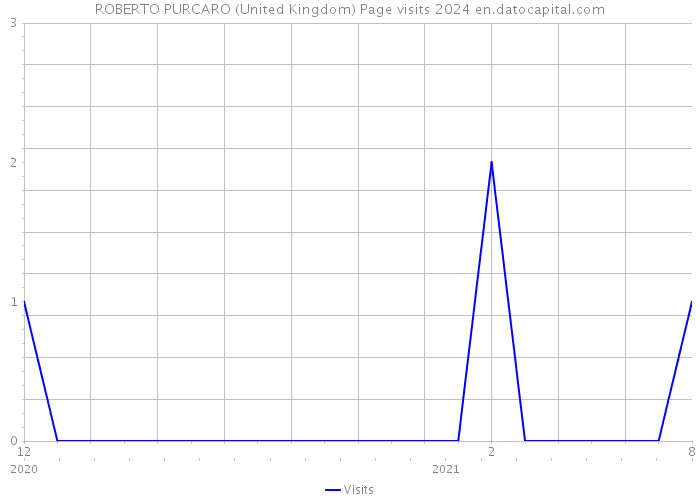 ROBERTO PURCARO (United Kingdom) Page visits 2024 