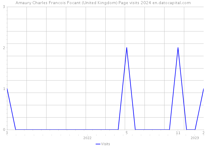 Amaury Charles Francois Focant (United Kingdom) Page visits 2024 