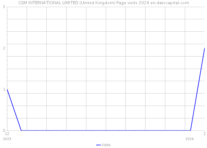 GSM INTERNATIONAL LIMITED (United Kingdom) Page visits 2024 