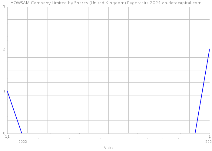 HOWSAM Company Limited by Shares (United Kingdom) Page visits 2024 