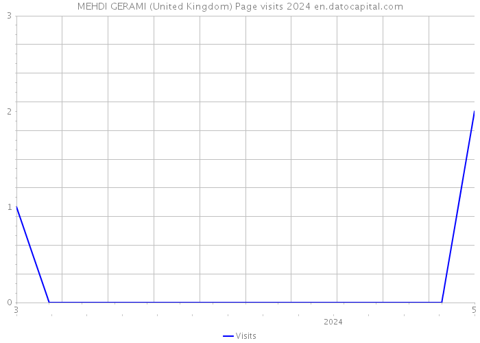 MEHDI GERAMI (United Kingdom) Page visits 2024 