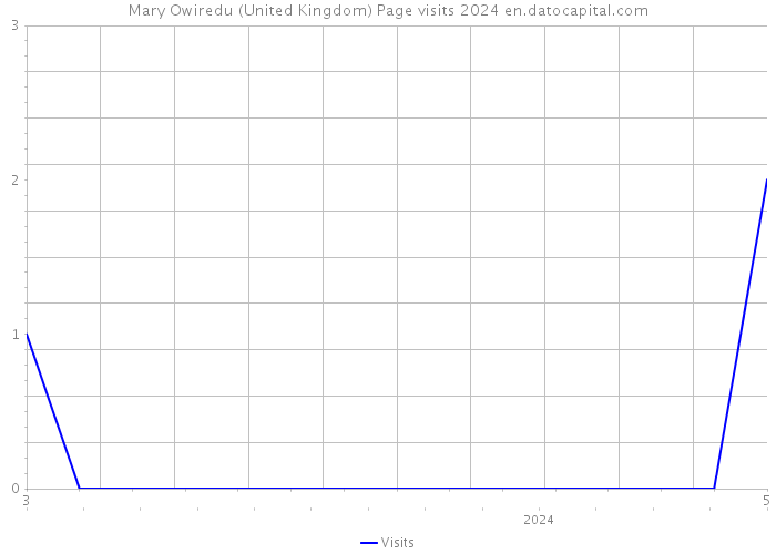 Mary Owiredu (United Kingdom) Page visits 2024 