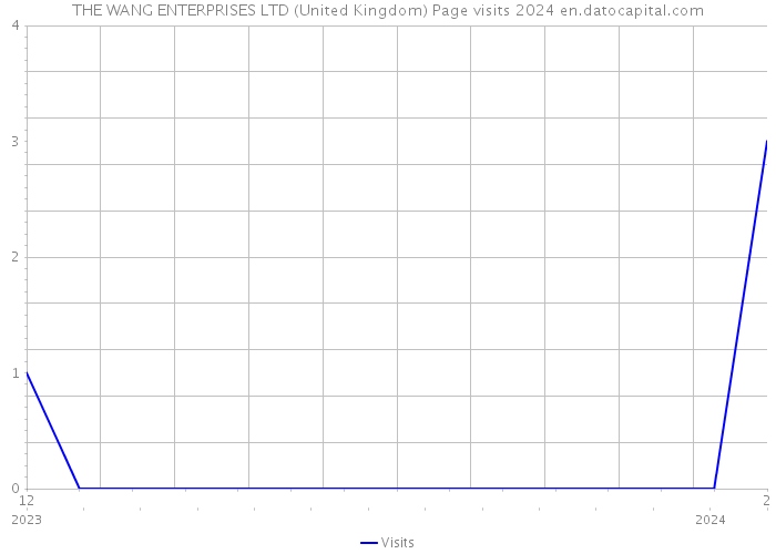 THE WANG ENTERPRISES LTD (United Kingdom) Page visits 2024 