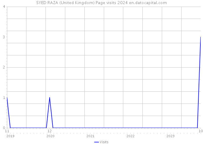 SYED RAZA (United Kingdom) Page visits 2024 