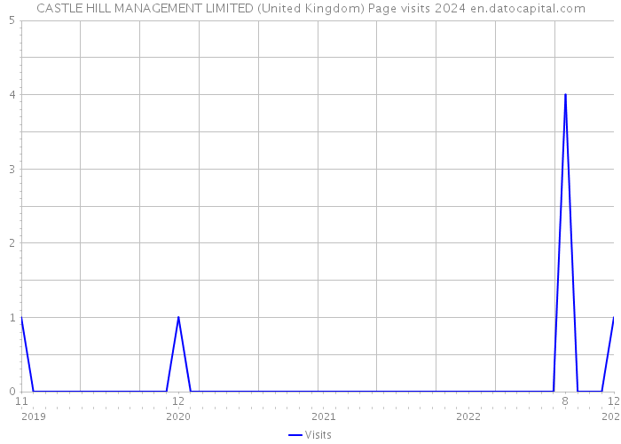 CASTLE HILL MANAGEMENT LIMITED (United Kingdom) Page visits 2024 