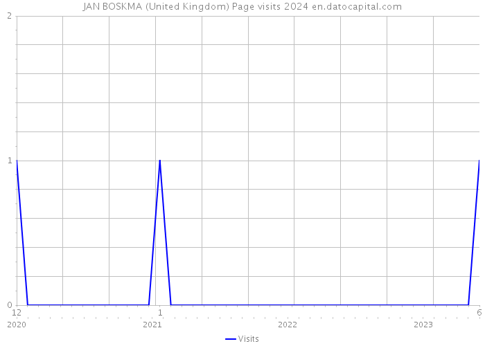 JAN BOSKMA (United Kingdom) Page visits 2024 