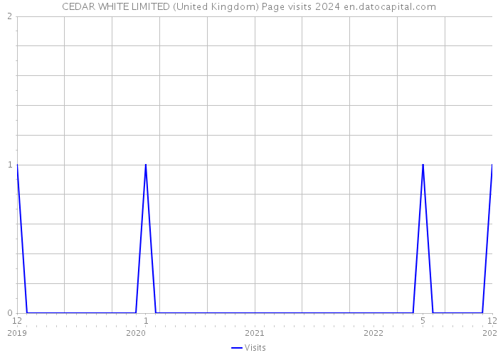 CEDAR WHITE LIMITED (United Kingdom) Page visits 2024 