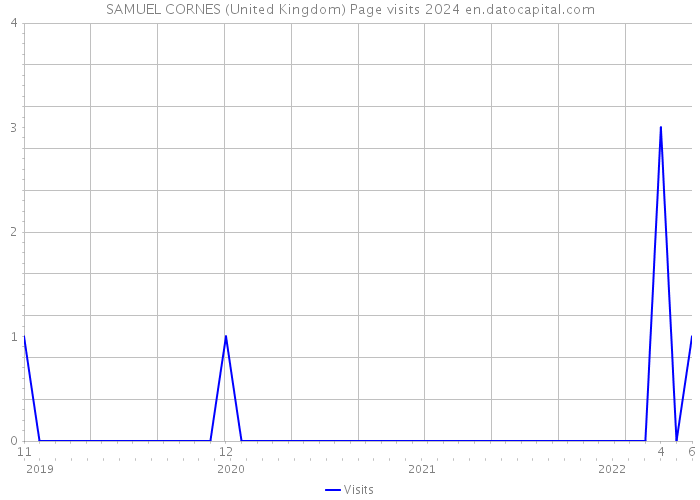 SAMUEL CORNES (United Kingdom) Page visits 2024 
