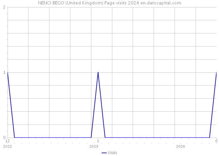 NENCI BEGO (United Kingdom) Page visits 2024 