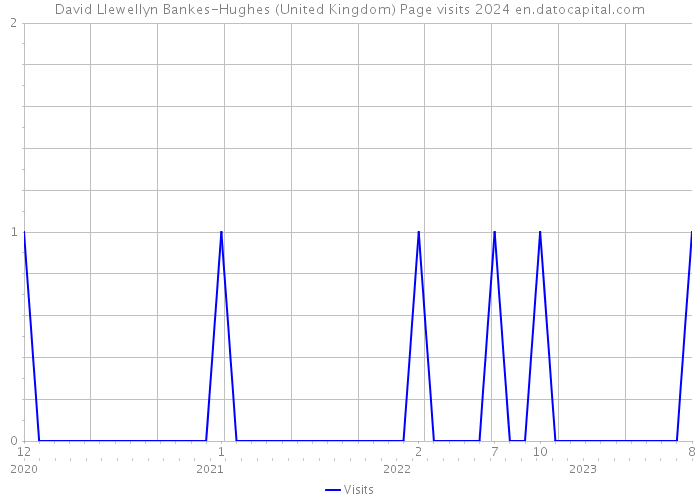 David Llewellyn Bankes-Hughes (United Kingdom) Page visits 2024 