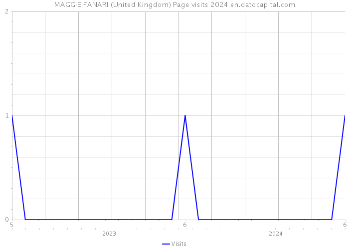 MAGGIE FANARI (United Kingdom) Page visits 2024 