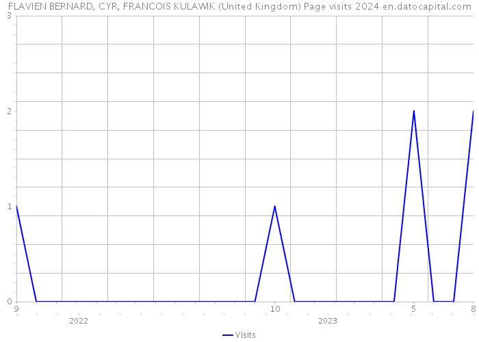FLAVIEN BERNARD, CYR, FRANCOIS KULAWIK (United Kingdom) Page visits 2024 