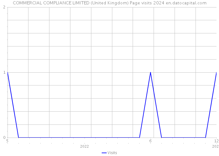 COMMERCIAL COMPLIANCE LIMITED (United Kingdom) Page visits 2024 