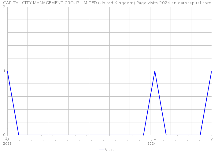 CAPITAL CITY MANAGEMENT GROUP LIMITED (United Kingdom) Page visits 2024 