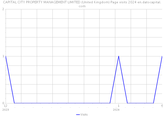 CAPITAL CITY PROPERTY MANAGEMENT LIMITED (United Kingdom) Page visits 2024 