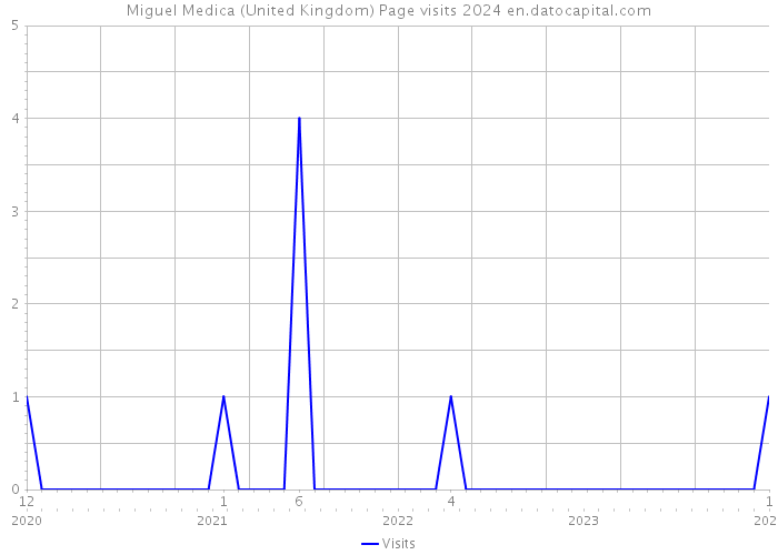 Miguel Medica (United Kingdom) Page visits 2024 