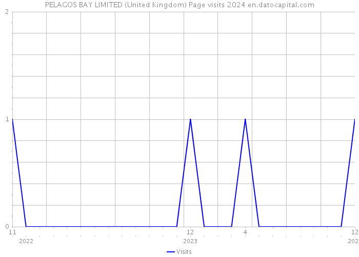 PELAGOS BAY LIMITED (United Kingdom) Page visits 2024 