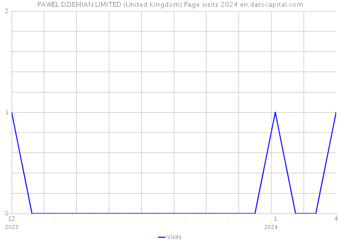 PAWEL DZIEMIAN LIMITED (United Kingdom) Page visits 2024 