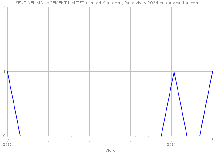 SENTINEL MANAGEMENT LIMITED (United Kingdom) Page visits 2024 