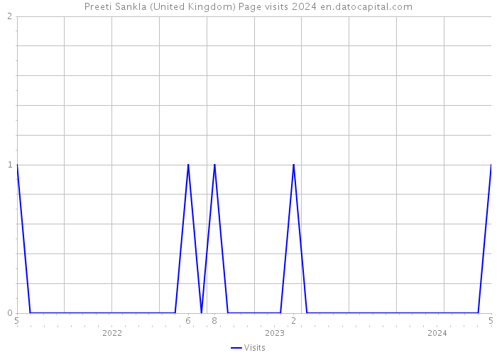 Preeti Sankla (United Kingdom) Page visits 2024 