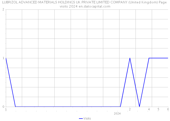 LUBRIZOL ADVANCED MATERIALS HOLDINGS UK PRIVATE LIMITED COMPANY (United Kingdom) Page visits 2024 