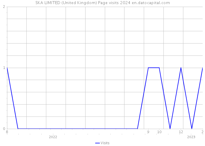 SKA LIMITED (United Kingdom) Page visits 2024 