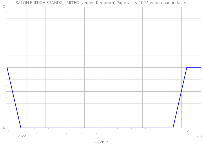 SALON BRITISH BRANDS LIMITED (United Kingdom) Page visits 2024 