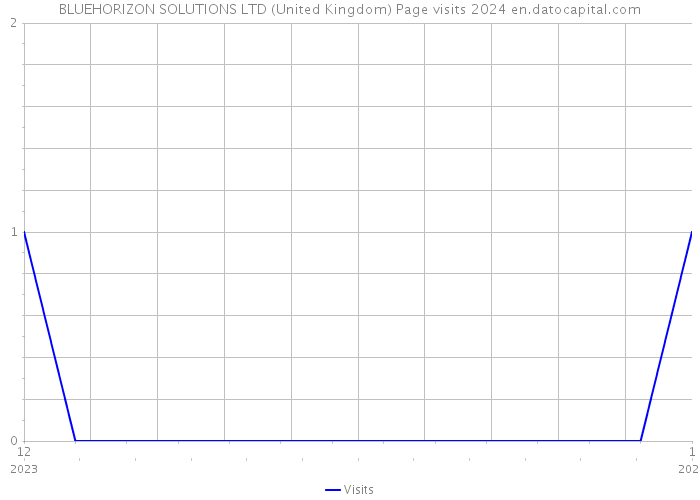 BLUEHORIZON SOLUTIONS LTD (United Kingdom) Page visits 2024 
