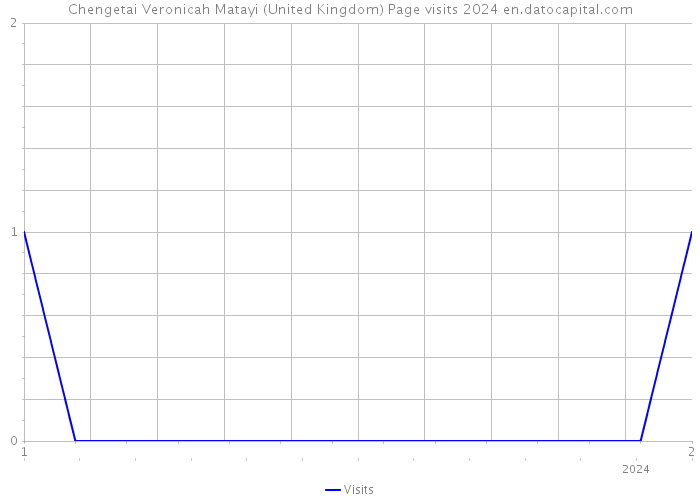 Chengetai Veronicah Matayi (United Kingdom) Page visits 2024 