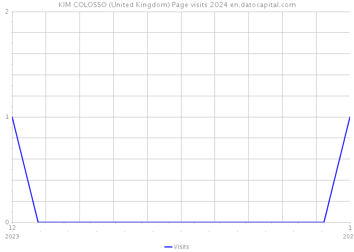 KIM COLOSSO (United Kingdom) Page visits 2024 
