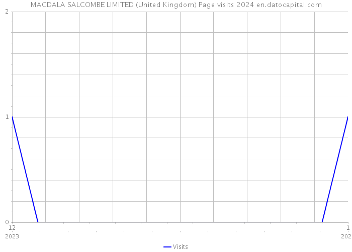 MAGDALA SALCOMBE LIMITED (United Kingdom) Page visits 2024 