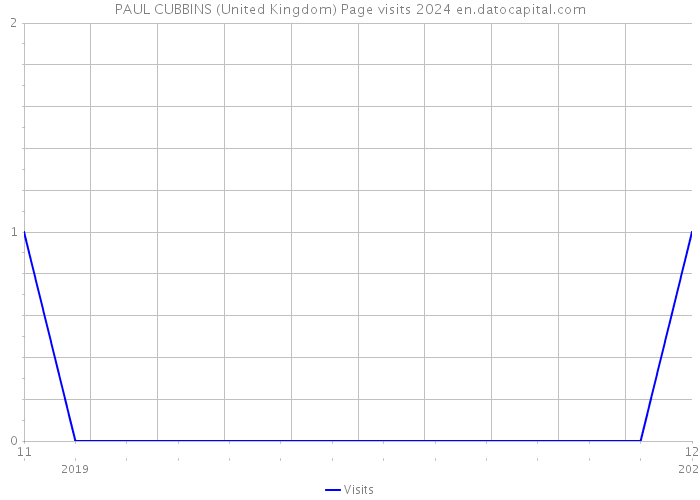 PAUL CUBBINS (United Kingdom) Page visits 2024 