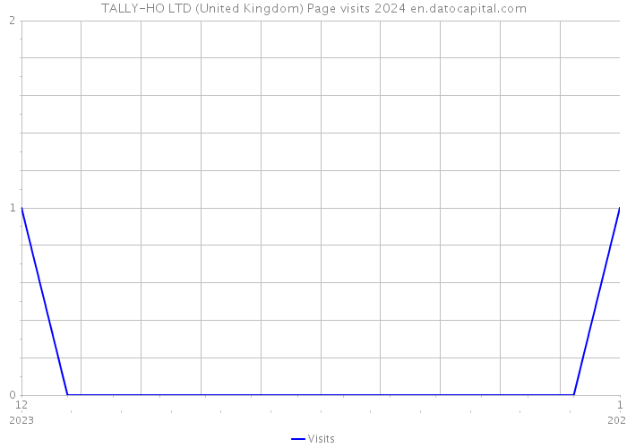 TALLY-HO LTD (United Kingdom) Page visits 2024 