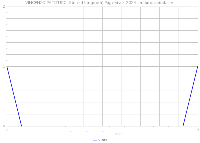 VINCENZO PATITUCCI (United Kingdom) Page visits 2024 
