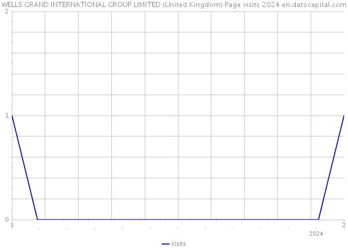 WELLS GRAND INTERNATIONAL GROUP LIMITED (United Kingdom) Page visits 2024 