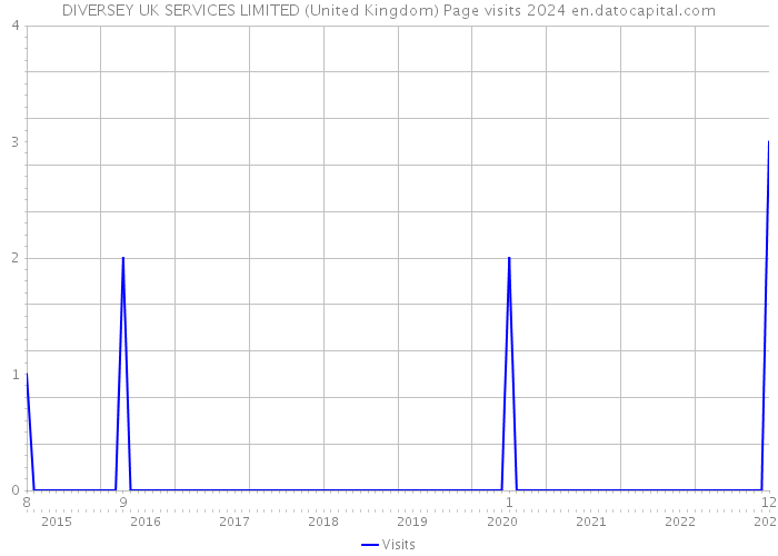 DIVERSEY UK SERVICES LIMITED (United Kingdom) Page visits 2024 