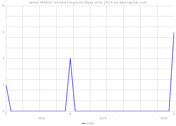 James Mellish (United Kingdom) Page visits 2024 