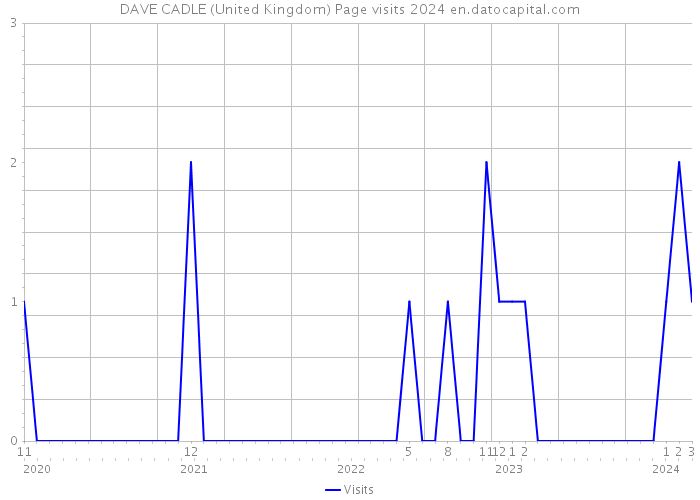 DAVE CADLE (United Kingdom) Page visits 2024 