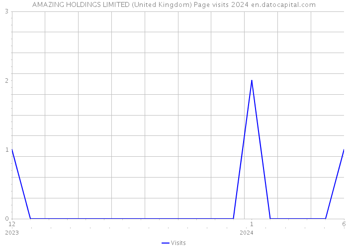 AMAZING HOLDINGS LIMITED (United Kingdom) Page visits 2024 