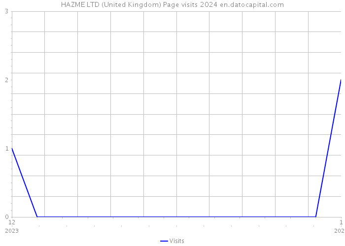 HAZME LTD (United Kingdom) Page visits 2024 