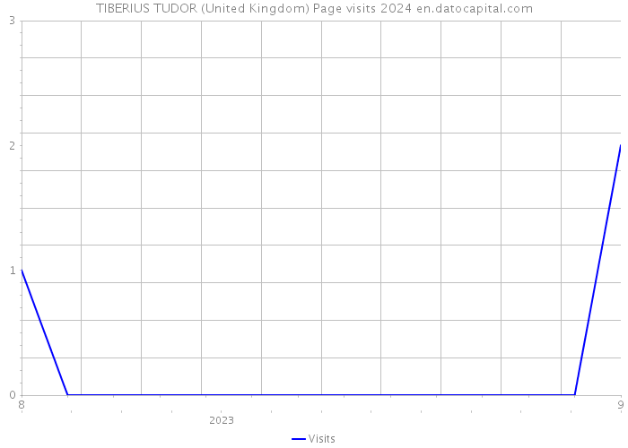 TIBERIUS TUDOR (United Kingdom) Page visits 2024 