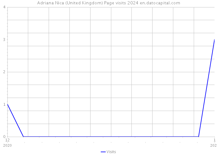 Adriana Nica (United Kingdom) Page visits 2024 