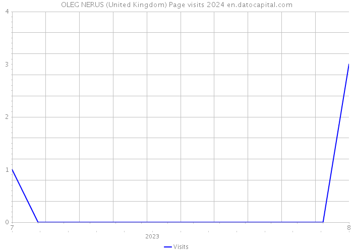 OLEG NERUS (United Kingdom) Page visits 2024 